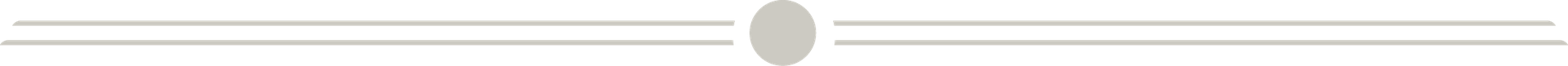 a grey divider bar consisting of two parallel lines a circle in the middle and then two more parallel lines